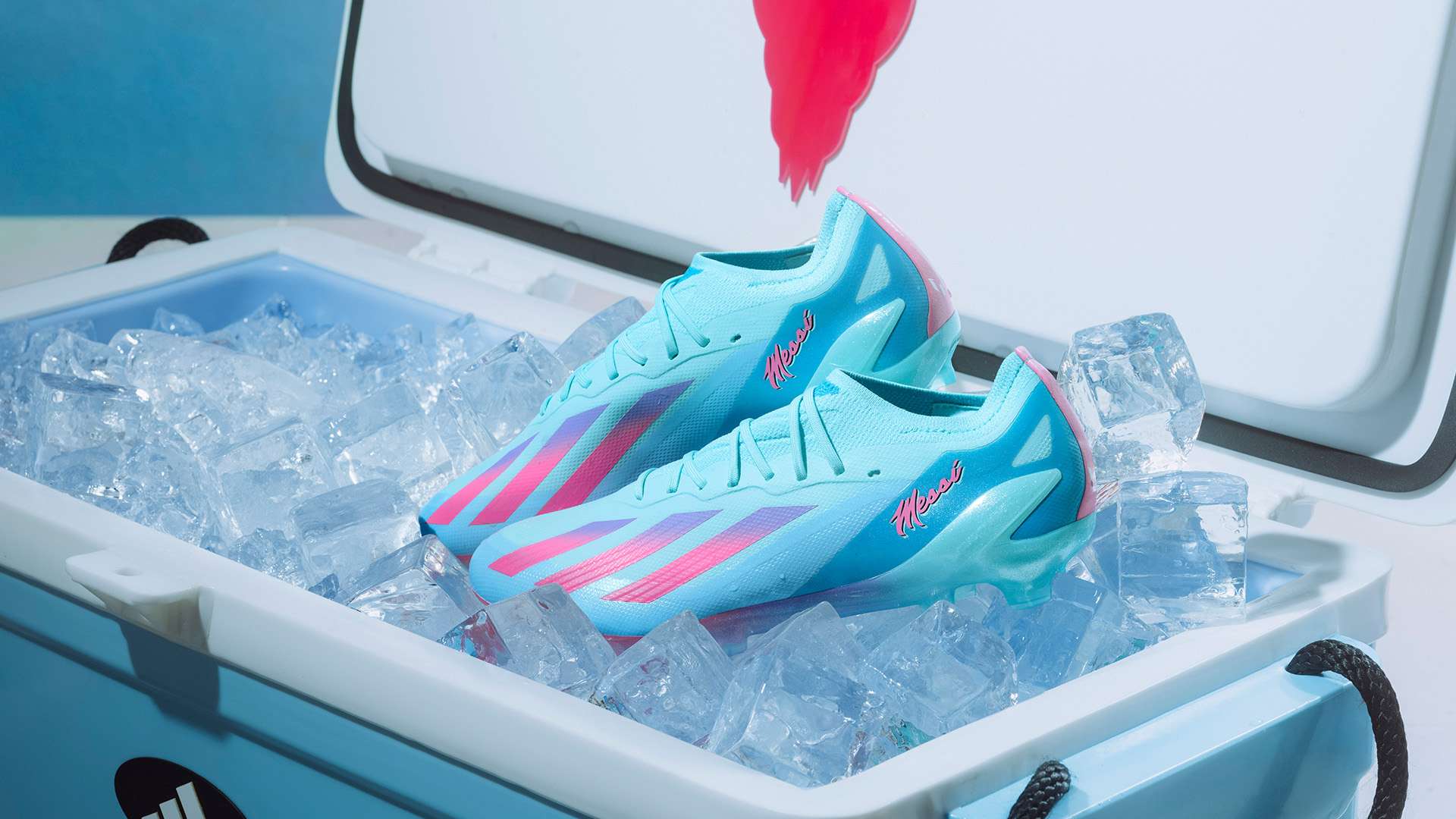 發展中的警 發展中的警